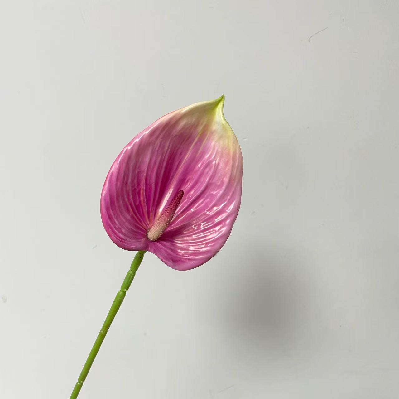 Small-sized Aeonium Arboreum (Rose Red) - Artificial Flower